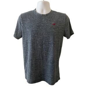 Hollister Mens Size M Grey Blue Crew Neck T-Shirt